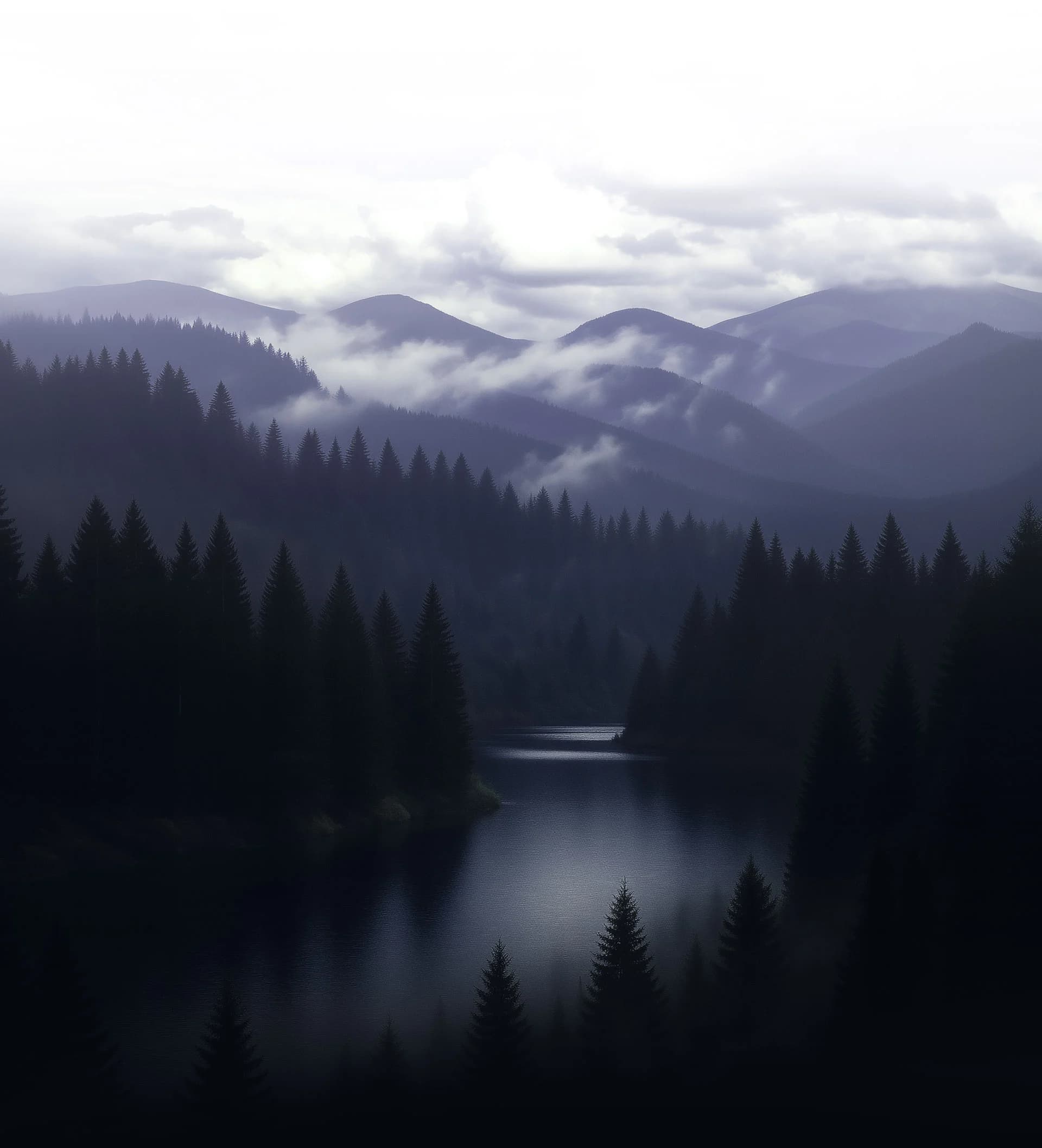 Forest and lake